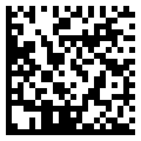 Пример кода Data Matrix